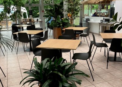 Papiliorama